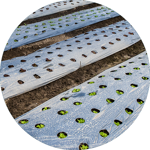 Agri & Mulch film