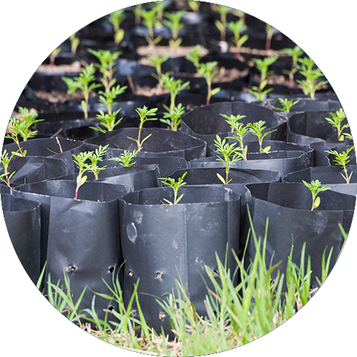 Nursery bags