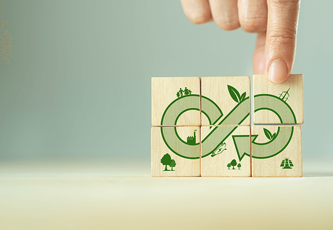 Turning Talent into Change-Makers: Upskilling for a Greener Tomorrow at Lucro