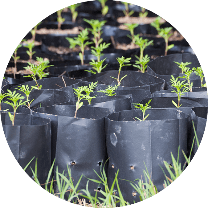 Nursery bags